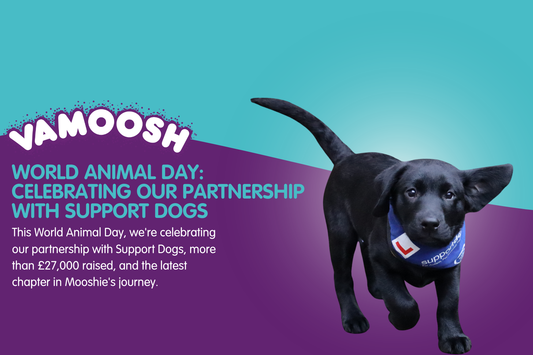 World Animal Day: Celebrating Our Partnership with Support Dogs