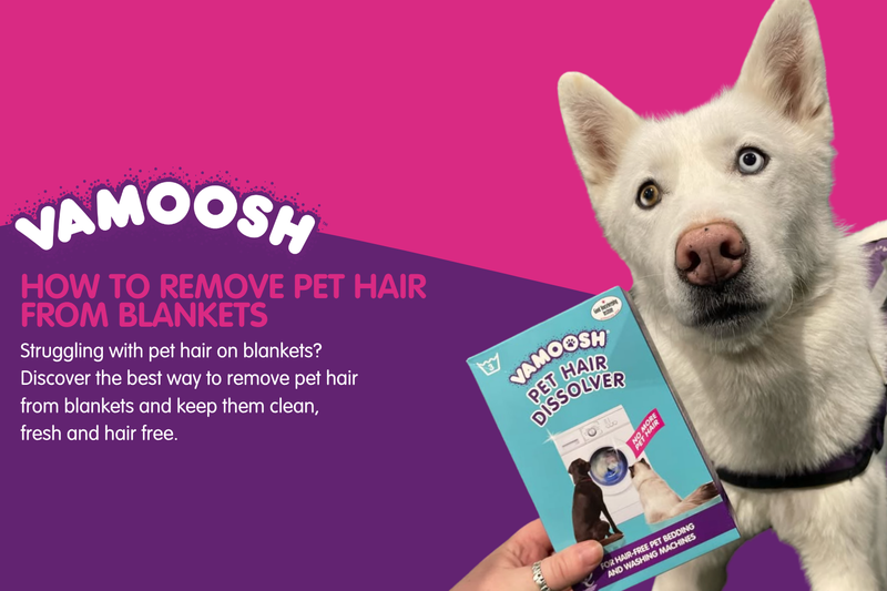 How to Remove Pet Hair from Blankets