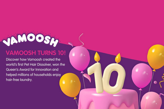 Vamoosh Turns 10: A Decade of Hair-Free Laundry and Pet Hair Innovation