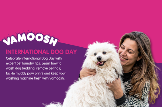 International Dog Day: How to Keep Dog Bedding, Blankets & Laundry Fresh
