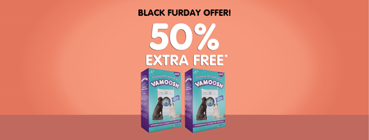 Black Friday Deal on Vamoosh - An offer not to be missed!