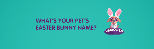 What's your pet's Easter bunny name?