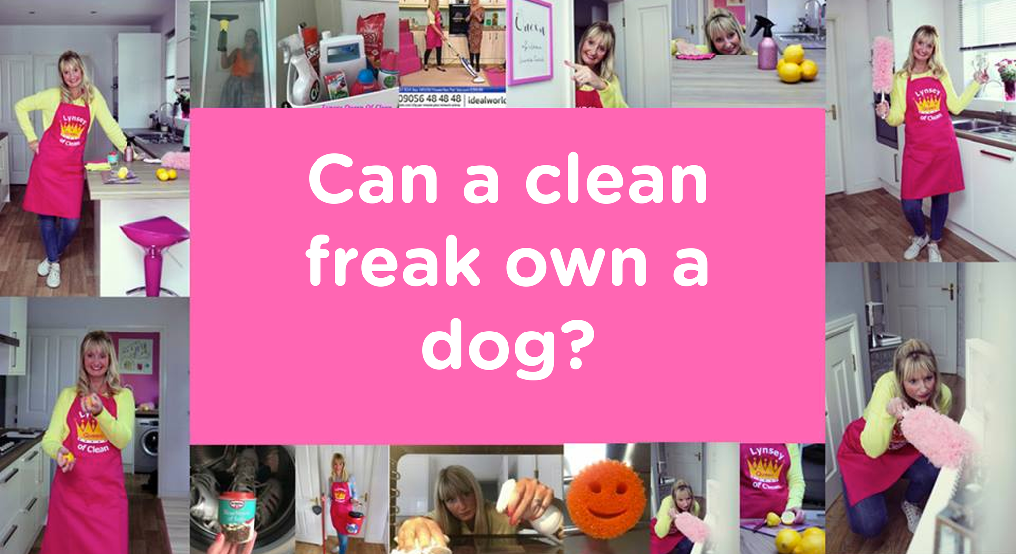 Can a clean freak like me cope with a dog?
