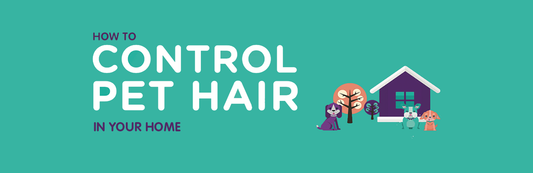 How to control pet hair in your home